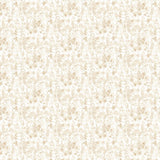 OHPOPSI Laid Bare Wallpaper Blossom Colourway Almond Full Wall Image