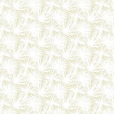 OHPOPSI Laid Bare Wallpaper Palm Silhouette Colourway Moss Full Wall Image