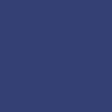 Blueberry Tart