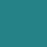 Dabbling Duck