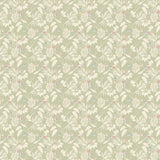 OHPOPSI Laid Bare Wallpaper Hummingbird Colourway Sage Full Wall Image