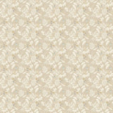 OHPOPSI Laid Bare Wallpaper Hummingbird Colourway Straw Full Wall Image