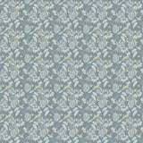 OHPOPSI Wallpaper Hummingbird Colourway Petrol Full Wall Image