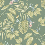 OHPOPSI Laid Bare Wallpaper Hummingbird Colourway Forest Tile Image