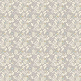 OHPOPSI Laid Bare Wallpaper Hummingbird Colourway Flint Full Wall Image