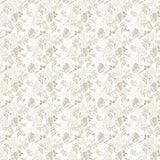 OHPOPSI Laid Bare Wallpaper Hummingbird Colourway Pearl Full Wall Image