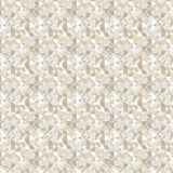 OHPOPSI Laid Bare Wallpaper Orb Colourway Fossil Full Wall Image