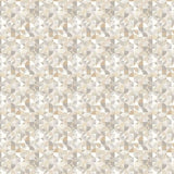 OHPOPSI Laid Bare Wallpaper Orb Colourway Fossil Full Wall Image