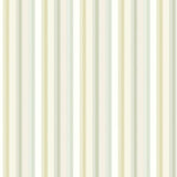 OHPOPSI Laid Bare Wallpaper Multi Stripe Colourway Pistachio Mix Full Wall Image