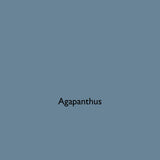 Agapanthus blue eco paint colour tile