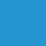 Alpine Forget Me Not