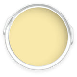 Tin of Arcadia yellow eco paint