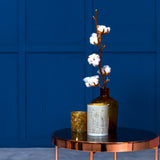 Room painted in Blue Dragoon royal blue eco paint