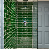 Bathroom painted in Boscastle Blue pale blue eco paint