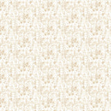 OHPOPSI Laid Bare Wallpaper Blossom Colourway Almond Full Wall Image
