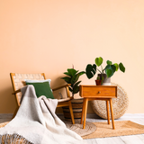 Room painted in Feelin' Peachy pale peach eco paint