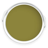 Tin of Freaky Leaves green eco paint