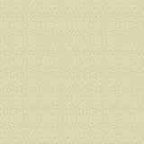 OHPOPSI Wallpaper Elements Colourway Fennel Full Wall Image