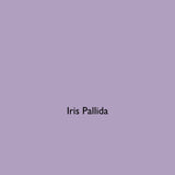 Iris Pallida lilac eco paint colour tile