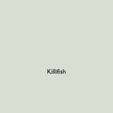 Killifish pale green eco paint colour tile