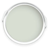 Tin of Killifish pale green eco paint