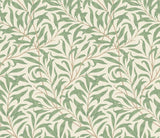 Eden Vol 2 Willow Trail Forest wallpaper by Hoopla Walls, a green leaf design
