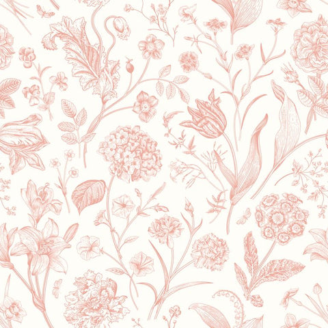Purity Floral Toile Soft Coral wallpaper by Hoopla Walls, a coral toile design