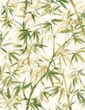Hanashi Shadow Bamboo Willow wallpaper by Ohpopsi, a green leaf design