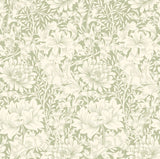 Eden Vol 1 Chrysanthemum Sage Green wallpaper by Hoopla Walls, a green floral design