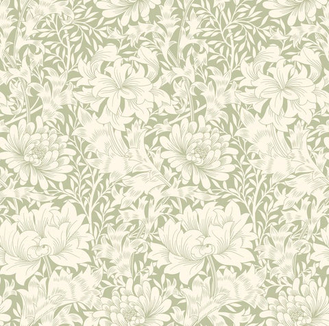 Eden Vol 1 Chrysanthemum Sage Green wallpaper by Hoopla Walls, a green floral design