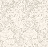 Eden Vol 1 Chrysanthemum Dove wallpaper by Hoopla Walls, a grey floral design