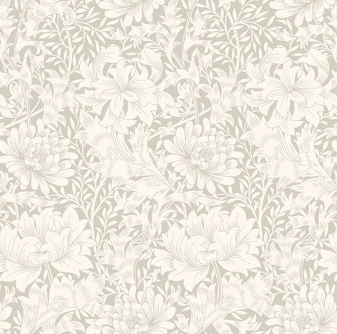Eden Vol 1 Chrysanthemum Dove wallpaper by Hoopla Walls, a grey floral design