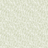 Purity Zebra Leaf Olive wallpaper by Hoopla Walls, a green leaf design