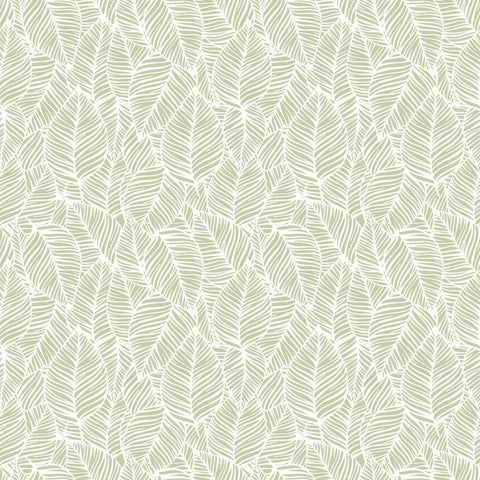 Purity Zebra Leaf Olive wallpaper by Hoopla Walls, a green leaf design