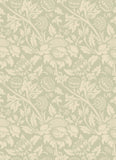 Elegance Damask Trail Bamboo wallpaper by Hoopla Walls, a beige damask design