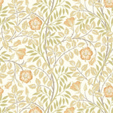 Eden Vol 1 Rosehip Trail Soft Amber wallpaper by Hoopla Walls, an orange floral design