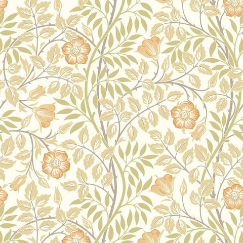 Eden Vol 1 Rosehip Trail Soft Amber wallpaper by Hoopla Walls, an orange floral design