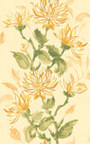 Hanashi Kiku Sunrise wallpaper by Ohpopsi, an orange floral design