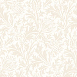 Eden Vol 2 Thistle Damask Oyster wallpaper by Hoopla Walls, a beige damask design