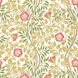 Eden Vol 1 Rosehip Trail Rose Pink wallpaper by Hoopla Walls, a pink floral design