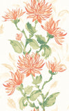 Hanashi Kiku Coral wallpaper by Ohpopsi, a coral floral design