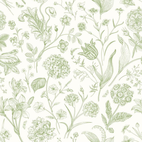 Purity Floral Toile Sage wallpaper by Hoopla Walls, a green toile design