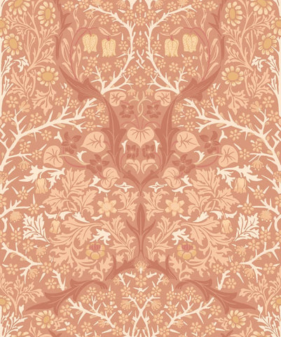Eden Vol 2 Blackthorn Damask Terracotta wallpaper by Hoopla Walls, a terracotta damask design