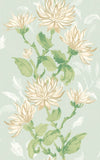 Hanashi Kiku Seafoam wallpaper by Ohpopsi, a green floral design