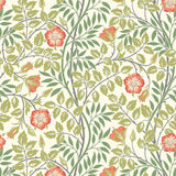 Eden Vol 1 Rosehip Trail Coral Pink wallpaper by Hoopla Walls, a coral floral design