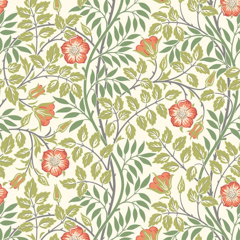 Eden Vol 1 Rosehip Trail Coral Pink wallpaper by Hoopla Walls, a coral floral design