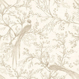 Purity Bird Toile Stone wallpaper by Hoopla Walls, a neutral toile design