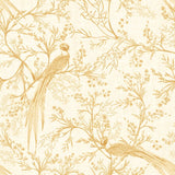 Purity Bird Toile Honey wallpaper by Hoopla Walls, a yellow toile design