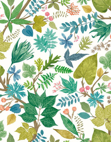 Riches of Nature Lush Leaves Fresh Fern wallpaper by Ohpopsi, a green leaf design