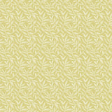 Riches of Nature Dotty Leaf Fern wallpaper by Ohpopsi, a green leaf design